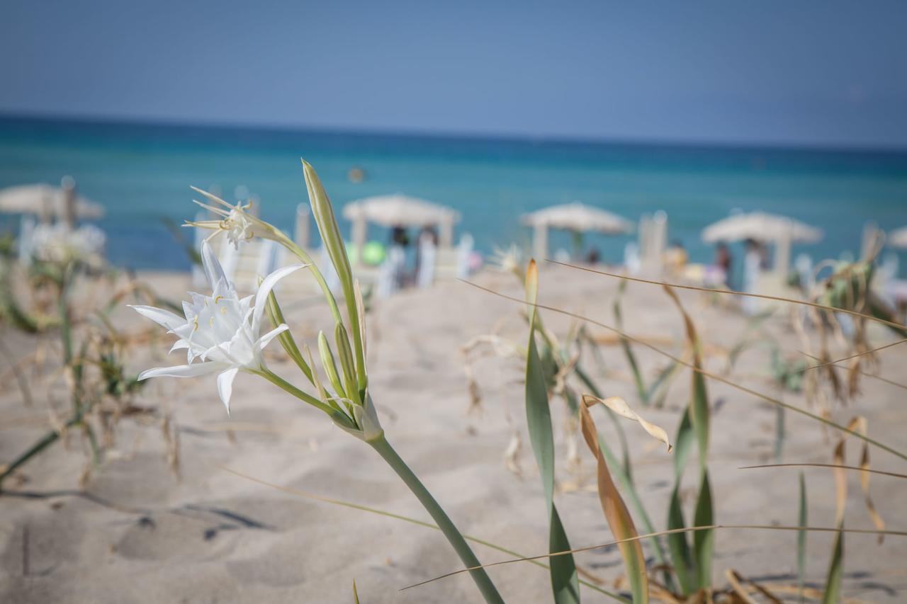 Riva Di Ugento Beach Camping Resort Zewnętrze zdjęcie